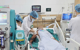 Bị rắn hổ mang cắn nhưng đắp lá điều trị, người đàn ông chết sau 1 tuần