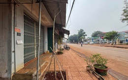 Chính quyền nói gì về việc trồng cây xanh đô thị sát cửa nhà dân?