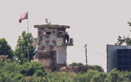 Binh sĩ Triều Tiên đào tẩu bị Hàn Quốc bắt giữ