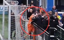 Trận bóng đá ở Anh bị hủy vì thủ môn đấm người hâm mộ