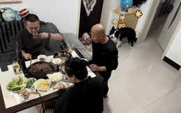 Chú chó có màn đáp trả khiến ông chủ ngã vào lòng đất