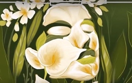 Quiz: Mức độ hy sinh của chồng bạn như thế nào?