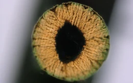 In 3D bằng… nước, giúp kim loại bền gấp 20 lần