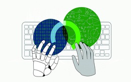 Hào quang AI và chiếc bóng năng suất