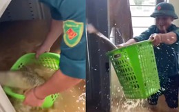 Bắt được cá trắm khủng trong tủ quần áo