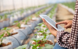 Đường nào đến an ninh lương thực trong bối cảnh biến đổi khí hậu?