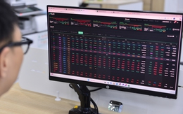 Dòng tiền suy yếu, chứng khoán giảm mạnh trước thời điểm công bố kết quả nâng hạng