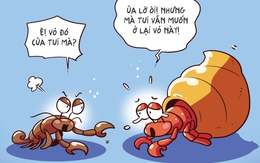 Xây nhầm nhà version ốc mượn hồn