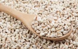 Bộ Y tế thu hồi lô dược liệu ý dĩ hỗ trợ điều trị ung thư không đạt chất lượng