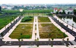 Chặn đầu cơ, lướt sóng trong đấu giá đất