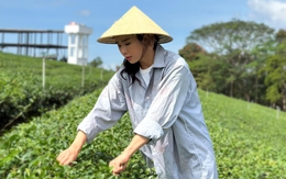 Đà Lạt hữu tình, bí ẩn hiện diện trong Góc khuất