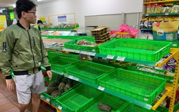 Đà Nẵng: Người dân đổ xô mua thực phẩm tích trữ trước bão, rau xanh 'cháy hàng'