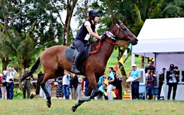 Đề xuất tăng mức cá cược bóng đá quốc tế, đua ngựa, đua chó lên 100 triệu đồng/ngày