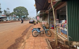 Đề nghị rà soát lại việc trồng cây xanh đô thị sát nhà dân, tránh lãng phí