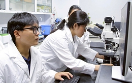 Bộ GD-ĐT đề xuất thêm vị trí 'giảng viên đồng cơ hữu' trong luật đại học sửa đổi