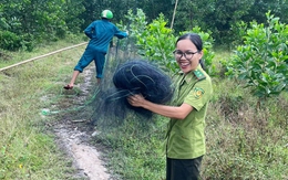 Thiên la địa võng lưới ma bẫy chim trời