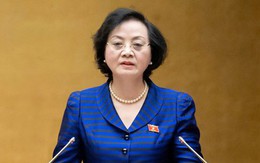 Trình luật cho viên chức được góp vốn, điều hành doanh nghiệp