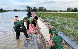Mực nước lũ đầu nguồn miền Tây cao hơn năm ngoái cả thước