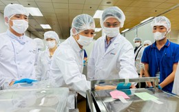 Lãnh đạo Hà Nội kiểm tra đột xuất các cơ sở chế biến suất ăn bán trú cho học sinh