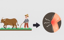 Tục ngữ chê bai những kẻ lười biếng, trốn việc này là gì?