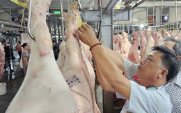 TP.HCM thí điểm sàn giao dịch thịt heo trong năm 2025