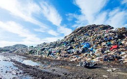 Phú Quốc cấm đốt rác, thả rông vật nuôi nơi công cộng