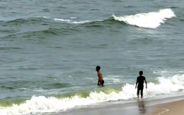 Nước biển ở Vũng Tàu có màu xanh lá khác lạ