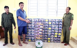 Bắt người đàn ông buôn bán 339kg pháo hoa nổ, tàng trữ ma túy trái phép