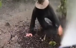 Chàng trai bị vòi nước 'trêu đùa' khi tưới cà phê