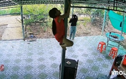 Bé gái leo lên trần nhà khi chơi trốn tìm