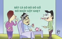 Rể miền Tây: Bắt cá gô bỏ dô gổ nó nhảy gột ghẹt