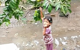 Về kể đang hái ổi thì bị ma trêu mà không ai tin