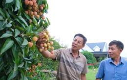 Thỏa thuận mới về thuế đối ứng: Mặt hàng nào có cơ hội hưởng thuế 0%?