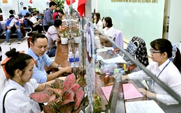 TP.HCM khuyến nghị người dân phối hợp làm sạch dữ liệu  đất đai