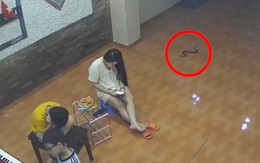 'Bé Na' ghé thăm nhà sau khi gia chủ dọn dẹp nhà chạy lũ