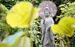 Tiềm năng từ các tour du lịch tâm linh tại TP.HCM