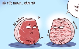 Tâm sự thịt bò - thịt trâu, nghe mà tức