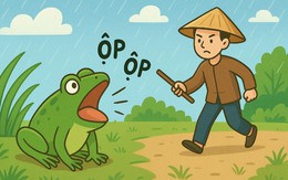 Thành ngữ chê người khoe khoang tự rước họa vào thân này là gì?