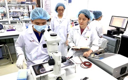 Bốn đại học trọng điểm được ‘rót vốn’ để bứt phá toàn diện