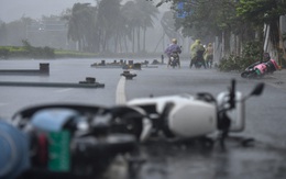 Bão Matmo gây mất điện diện rộng ở miền nam Trung Quốc, cây đổ, xe ngã la liệt