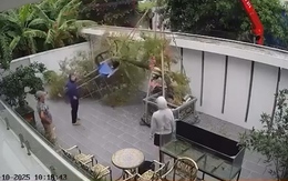 Siêu phẩm cây hoa giấy bị gãy đôi vì cẩu sai cách