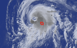 Bão Hạ Long không vào Biển Đông, Việt Nam chưa ghi nhận cơn bão số 12