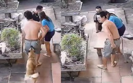 Bỉ ngạn vàng '3 mũi 900 ngàn' vì tin tưởng 'chó nhà em ngoan lắm'