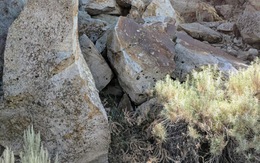 Mắt 10/10 mới thấy con thỏ trốn ở đâu?