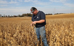 Mỹ chuẩn bị tung gói cứu trợ 10 tỉ USD cho nông dân thiệt hại vì thương chiến