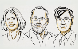 Mở màn Nobel 2025: Lĩnh vực y sinh vinh danh 3 nhà khoa học Mỹ và Nhật Bản