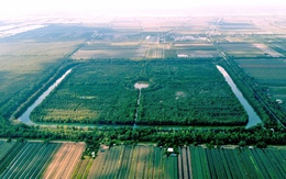 Chi gần 300 tỉ đồng mở rộng Khu bảo tồn sinh thái Đồng Tháp Mười