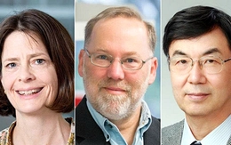 Nobel Y sinh 2025: Mở ra kỷ nguyên mới của miễn dịch học