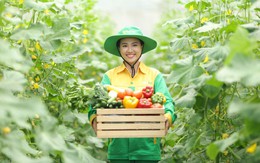 Hành trình rau sạch WinEco: Từ nông trường đến bàn ăn