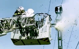 Điều xe chuyên dụng phá tổ ong vò vẽ liên tục tấn công người đi đường